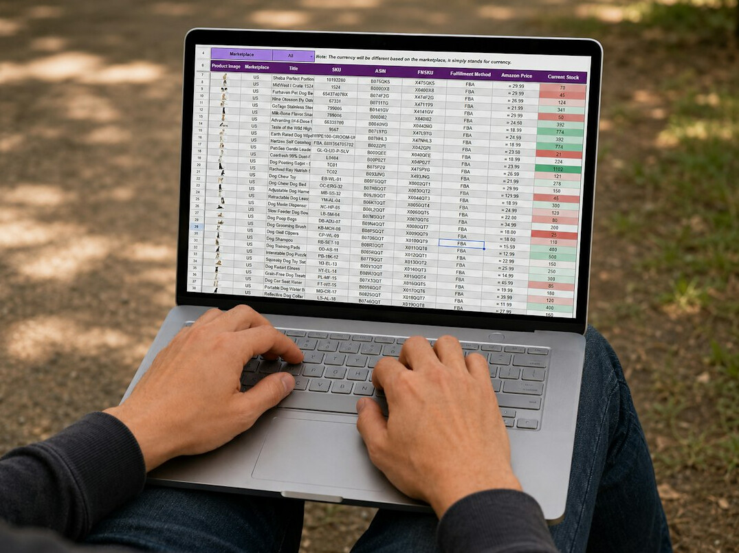 person reviewing budget on laptop
