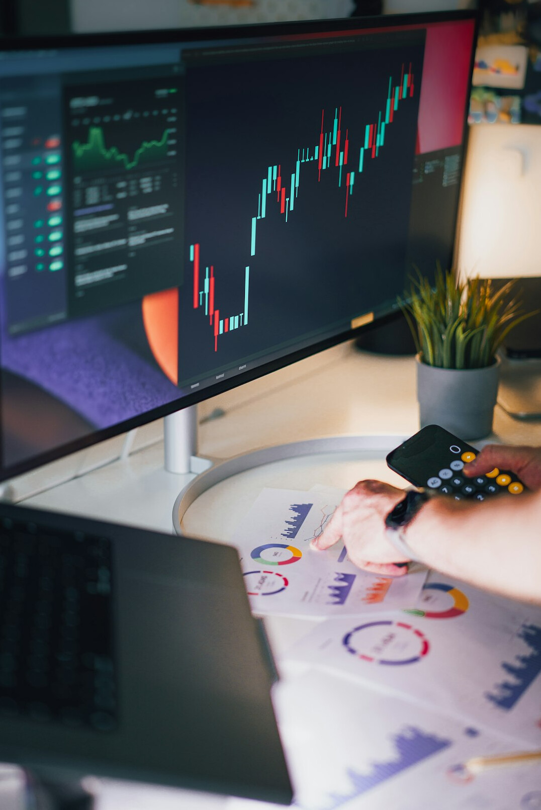 beginner investor learning